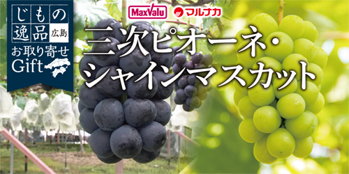 広島県産　三次ピオーネ・シャインマスカット バナー画像
