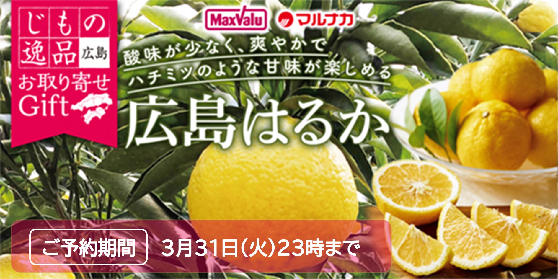 広島県産　はるか バナー画像