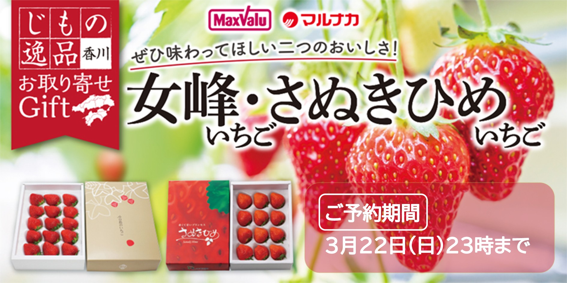 香川県産　いちご バナー画像