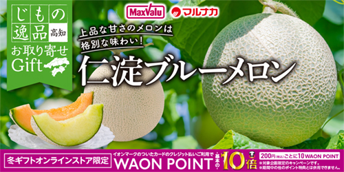 高知県産 仁淀ブルーメロン 商品一覧 | マックスバリュ・マルナカ オンラインストア