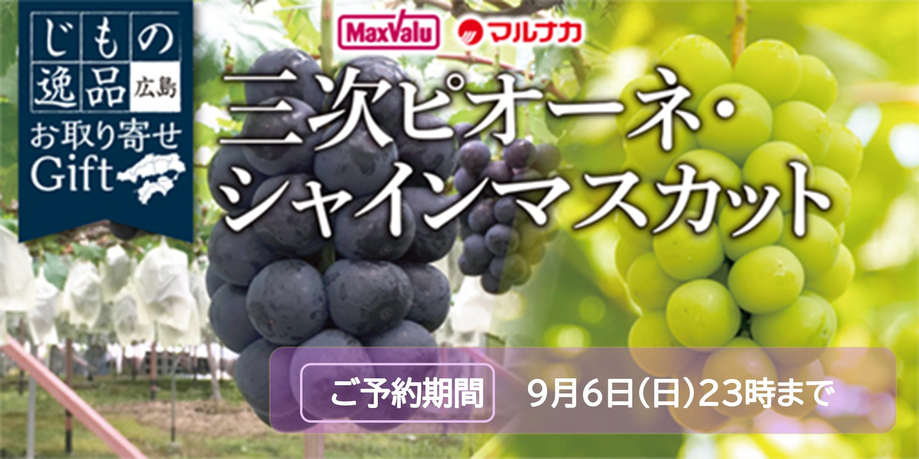 広島県産　三次ピオーネ・シャインマスカット バナー画像
