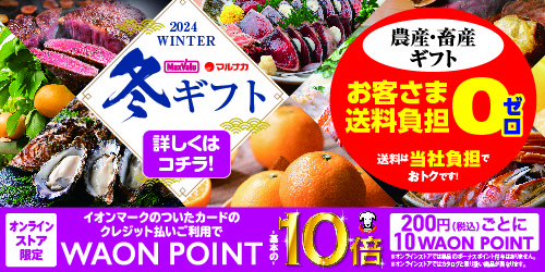 送料負担０対象】【冬ギフト☆】広島県産 五つ星みかん 【418856】 商品詳細 | 2024年 マックスバリュ・マルナカ 冬ギフト |  マックスバリュ・マルナカ オンラインストア