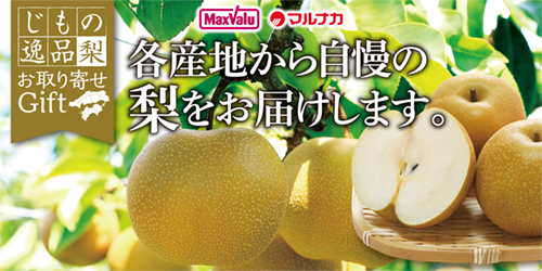 各産地から自慢の梨をお届けします。 バナー画像