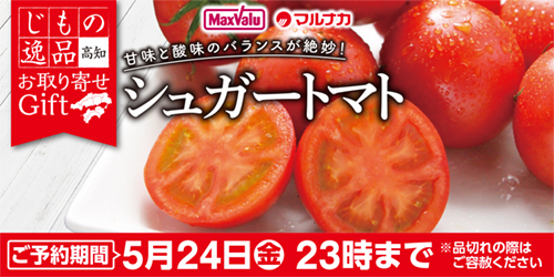高知県産（JA高知県）　シュガートマト バナー画像