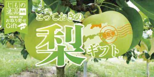 各産地から自慢の梨をお届けします。 バナー画像