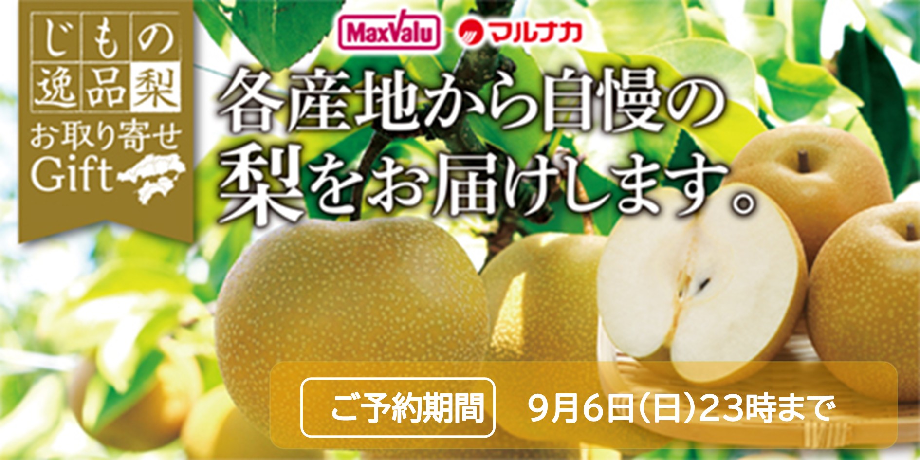鳥取県産/広島県産　梨 バナー画像