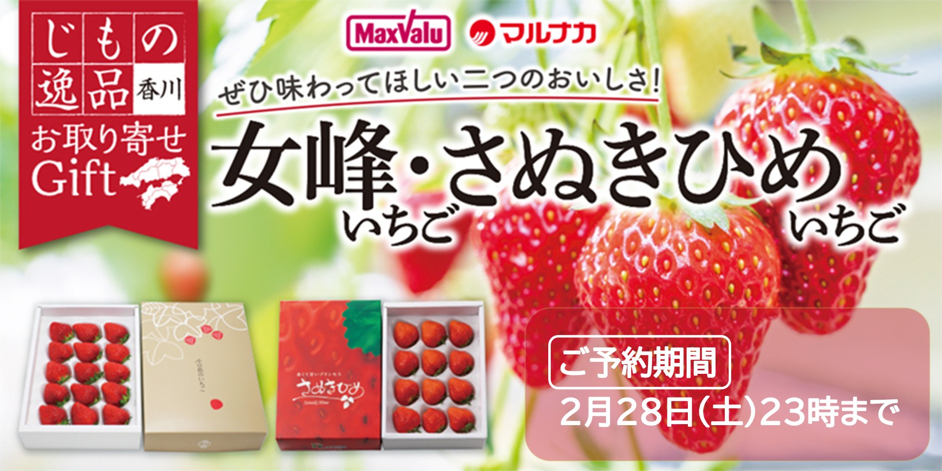 香川県産　いちご バナー画像