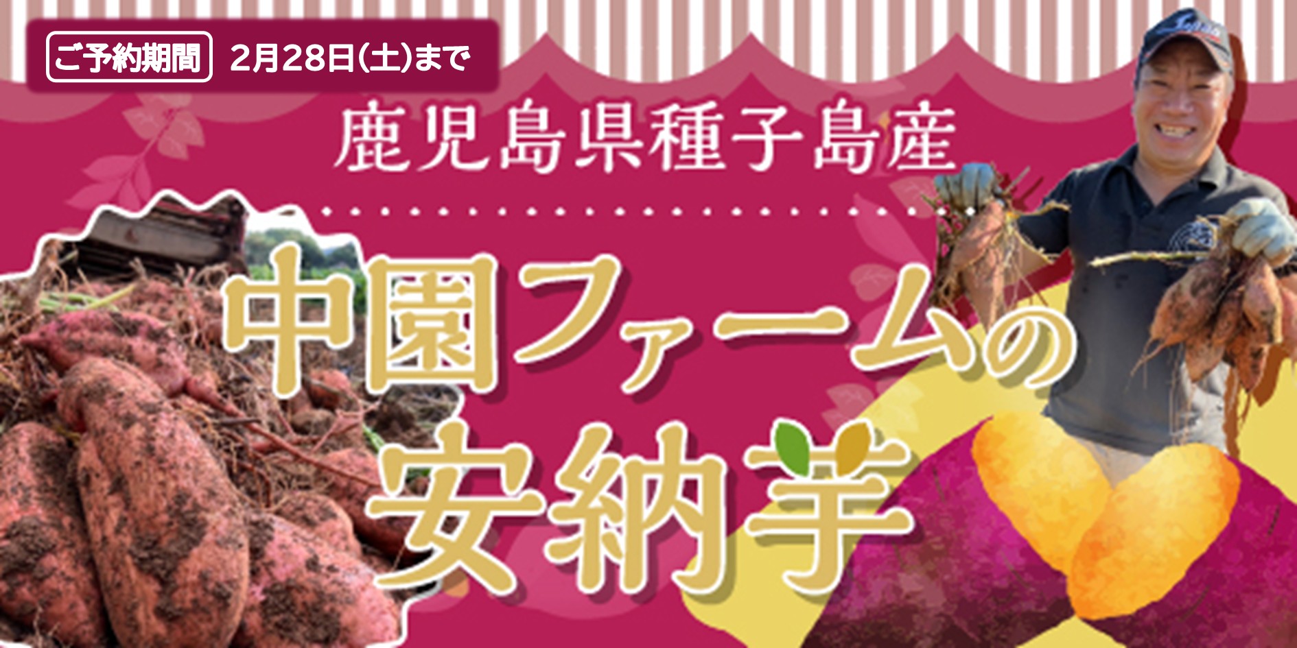 鹿児島県種子島産　中園ファームの安納芋 バナー画像