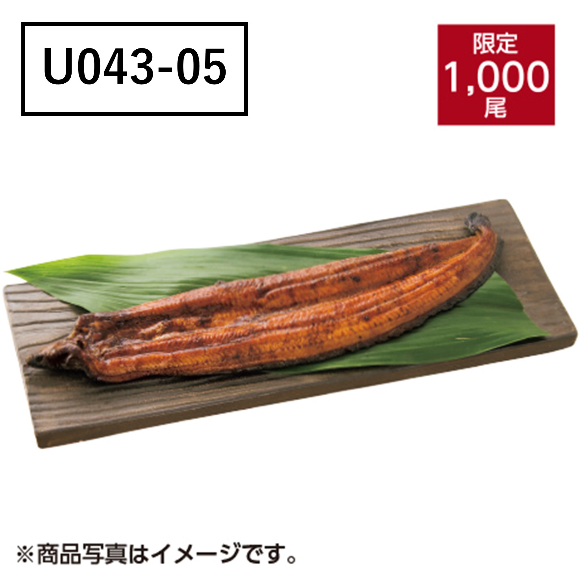 [高知県産] うなぎ蒲焼　大サイズ【U04305】 商品サムネイル