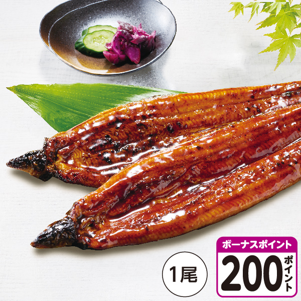 [宮崎県産]【八本木樽】うなぎ蒲焼 大サイズ 1尾【04301】【土用の入り】 商品サムネイル