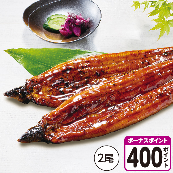 [宮崎県産]【八本木樽】うなぎ蒲焼 大サイズ 2尾【04302】【土用の入り】 商品サムネイル