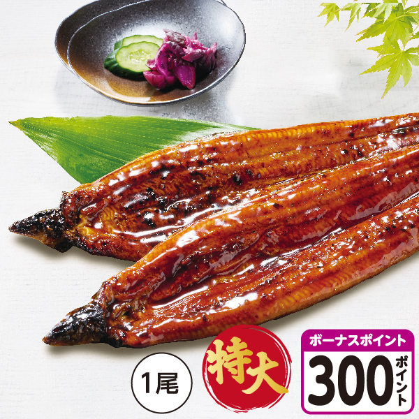[宮崎県産]【八本木樽】うなぎ蒲焼 特大サイズ【04303】【土用の入り】 商品サムネイル