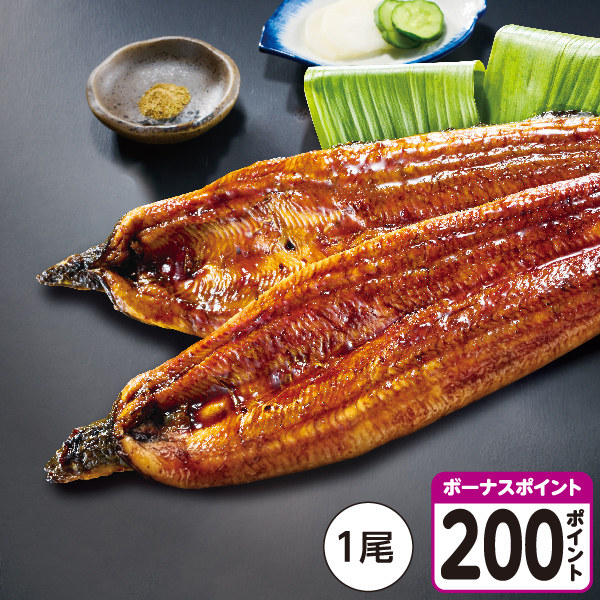 [鹿児島県産]【有頭じっくり焼き】うなぎ蒲焼 大サイズ 1尾 【04306】【土用の入り】 商品サムネイル
