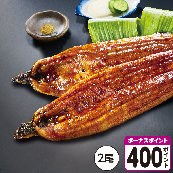 [鹿児島県産]【有頭じっくり焼き】うなぎ蒲焼 大サイズ 2尾【04307】【土用の入り】 商品サムネイル