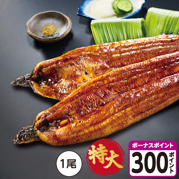 [鹿児島県産]【有頭じっくり焼き】うなぎ蒲焼 特大サイズ【04308】【土用の入り】 商品サムネイル