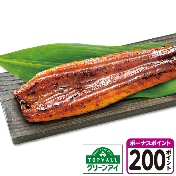 [鹿児島県産]トップバリュグリーンアイ うなぎ蒲焼 特大サイズ【04312】【土用の入り】 商品サムネイル