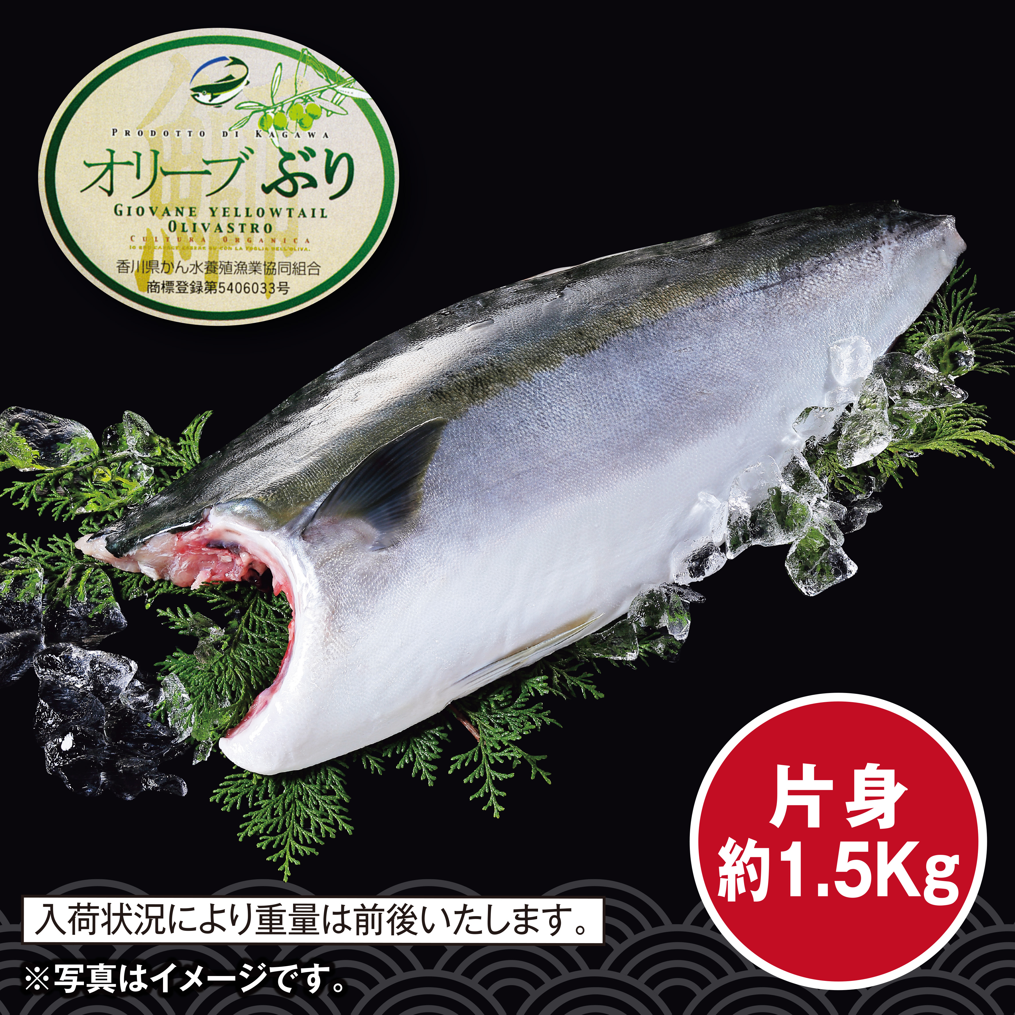 [香川県産]　オリーブぶり　フィレ（養殖）　片身・約1.5kg【580】 商品サムネイル