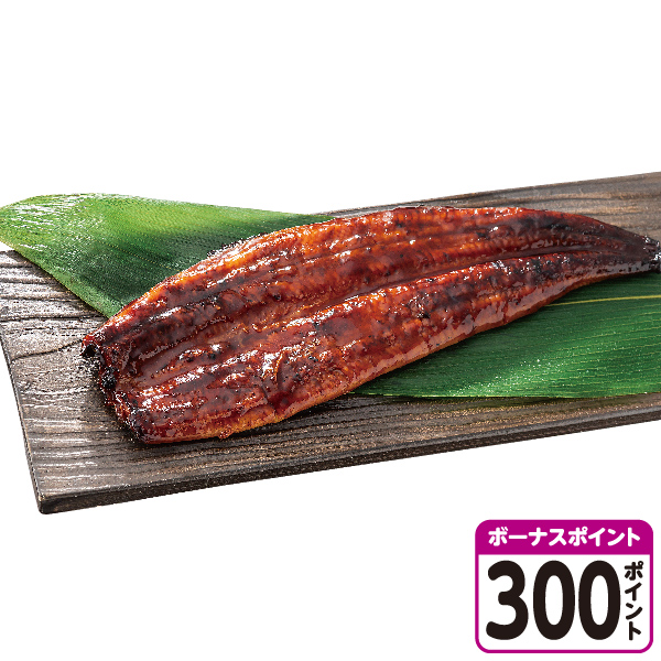 [鹿児島県産]【旨水の鰻】うなぎ蒲焼【08515】【土用の丑】 商品サムネイル