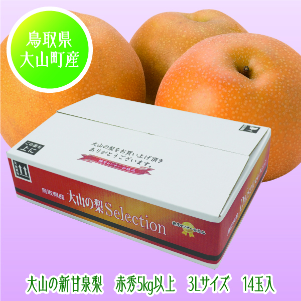 [鳥取県産 JA鳥取西部大山果実部] 大山の新甘泉梨 3Lサイズ 14玉入【425324】【8/25以降順次発送】 商品サムネイル