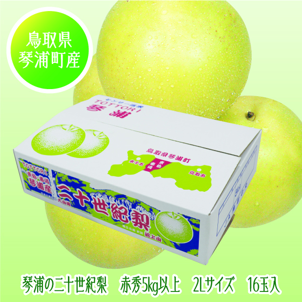 [鳥取県産 JA鳥取中央琴浦梨生産部] 琴浦の二十世紀梨 2Lサイズ16玉入【425245】【8/25以降順次発送】 商品サムネイル