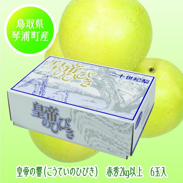 [鳥取県産 JA鳥取中央琴浦梨生産部] 皇帝の響（こうていのひびき） 6玉入【425272】【8/25以降順次発送】 商品サムネイル