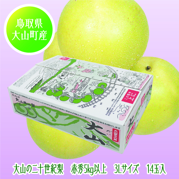 [鳥取県産 JA鳥取西部大山果実部] 大山の二十世紀梨 3Lサイズ 14玉入【425351】【8/25以降順次発送】 商品サムネイル