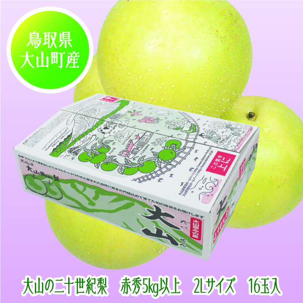 [鳥取県産 JA鳥取西部大山果実部] 大山の二十世紀梨 2Lサイズ 16玉入【425360】【8/25以降順次発送】 商品サムネイル