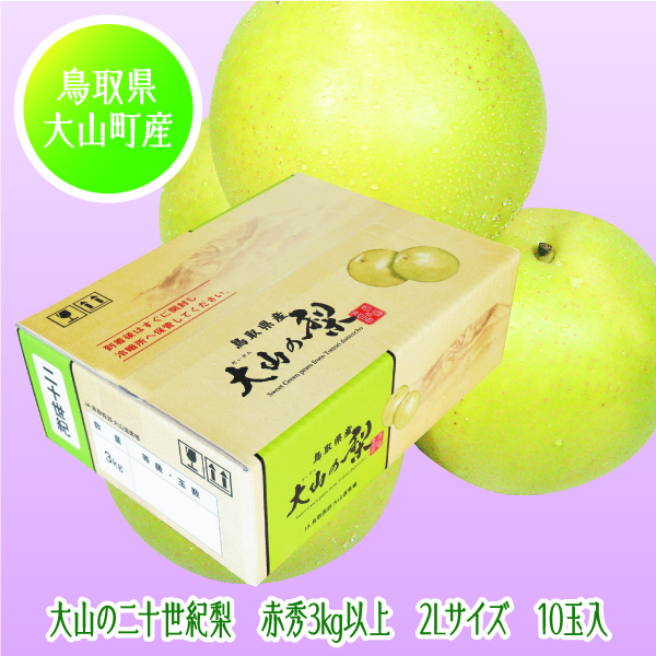 [鳥取県産 JA鳥取西部大山果実部] 大山の二十世紀梨 2Lサイズ 10玉入【425397】【8/25以降順次発送】 商品サムネイル
