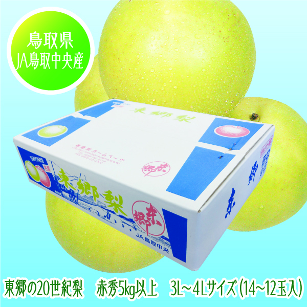[鳥取県(JA鳥取中央)産] 東郷の20世紀梨 3L~4Lサイズ(12～14玉入)【425449】【8/26以降順次発送】 商品サムネイル