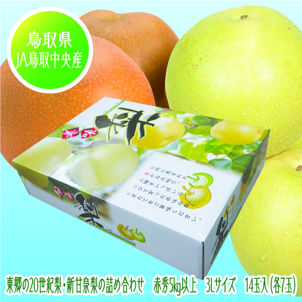 [鳥取県(JA鳥取中央)産] 東郷の20世紀梨・新甘泉梨詰め合わせ 3Lサイズ14玉入【425494】【8/26以降順次発送】 商品サムネイル