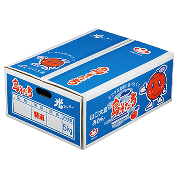 [山口県産]山口大島みかん(島そだち) S・M・Lサイズ 5kg以上【429418】【冬ギフト★】 商品サムネイル