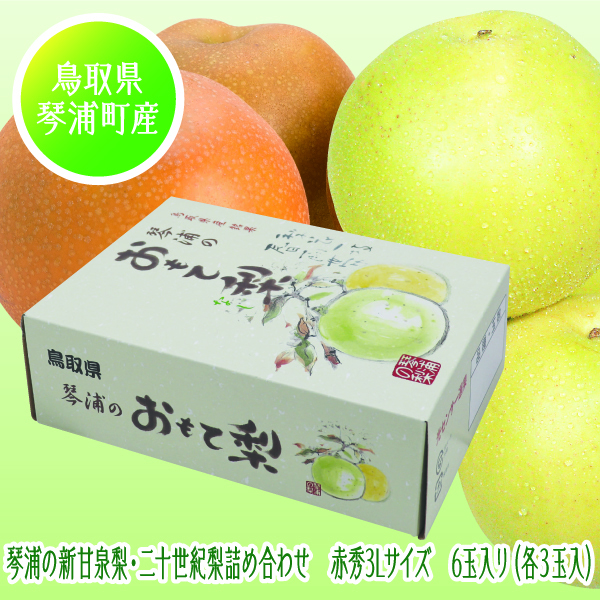 [鳥取県産 JA鳥取中央琴浦梨生産部] 琴浦の新甘泉梨・二十世紀梨詰め合わせ 3Lサイズ【425306】【8/25以降順次発送】 商品サムネイル