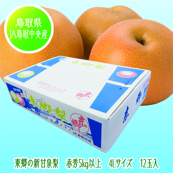 [鳥取県(JA鳥取中央)産] 東郷の新甘泉梨 4Lサイズ 12玉入【425476】【8/23以降順次発送】 商品サムネイル