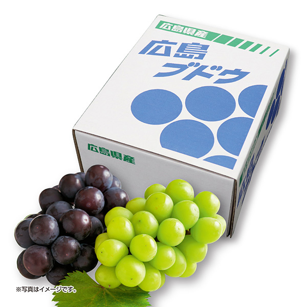 [広島県産] ピオーネ・シャインマスカット 2房（1kg以上） 【425591】【夏ギフト★】 商品サムネイル