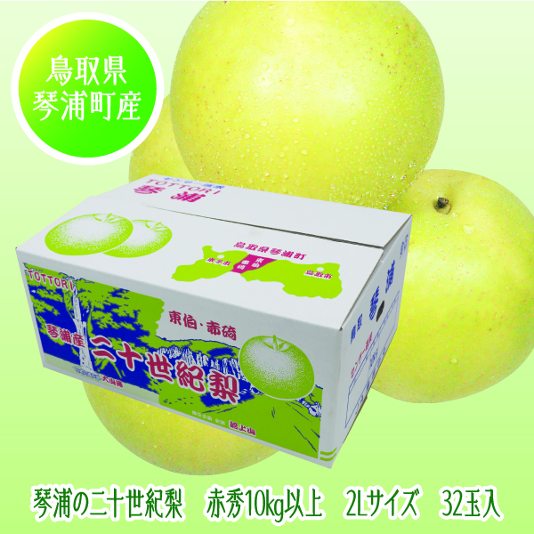 [鳥取県産 JA鳥取中央琴浦梨生産部] 琴浦の二十世紀梨 2Lサイズ 32玉入【425227】【8/25以降順次発送】 商品サムネイル