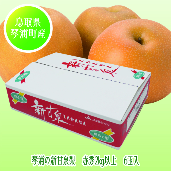 [鳥取県産 JA鳥取中央琴浦梨生産部] 琴浦の新甘泉梨 6玉入【425290】【8/25以降順次発送】 商品サムネイル