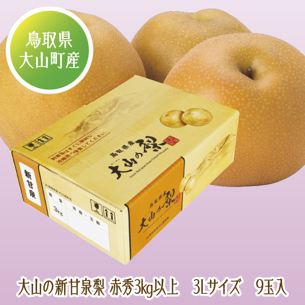 [鳥取県産 JA鳥取西部大山果実部] 大山の新甘泉梨 3Lサイズ 9玉入【425342】【8/25以降順次発送】 商品サムネイル