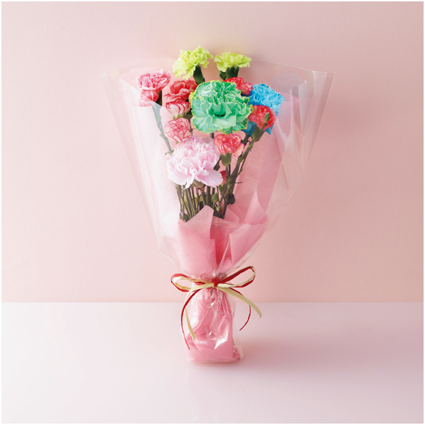 【母の日】ケーアイ・フレッシュアクセス カーネーション推し色ブーケ（レインボー）【485034】 商品サムネイル