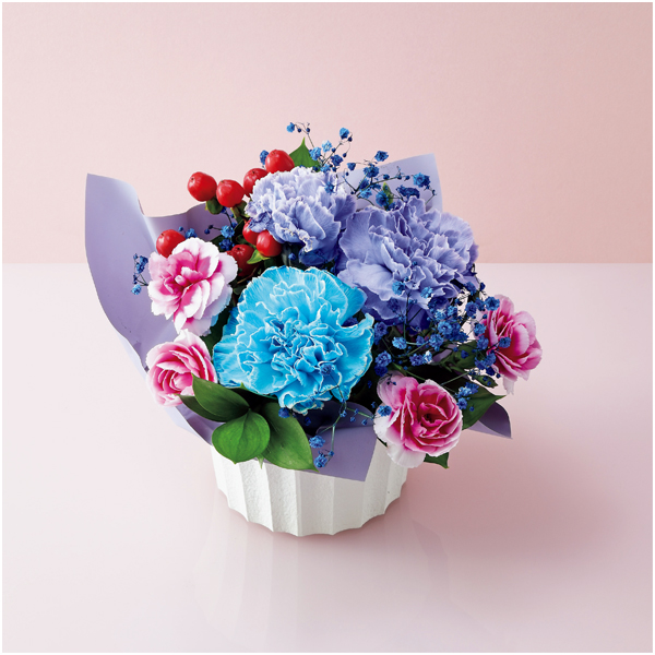 【母の日】ケーアイ・フレッシュアクセス カーネーション推し色アレンジメント（パープル）【485016】 商品サムネイル