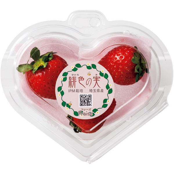 【母の日】ケーアイ・フレッシュアクセス カーネーション推し色アレンジ（ピンク）といちごのセット【485007】 商品サムネイル