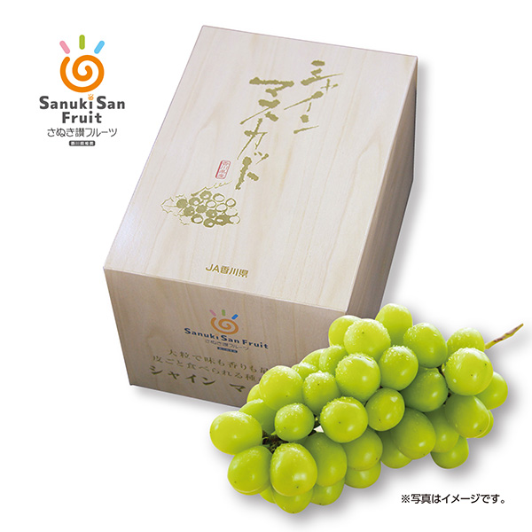 [香川県産] シャインマスカット 1房(550g以上) 【426165】【夏ギフト★】 商品サムネイル