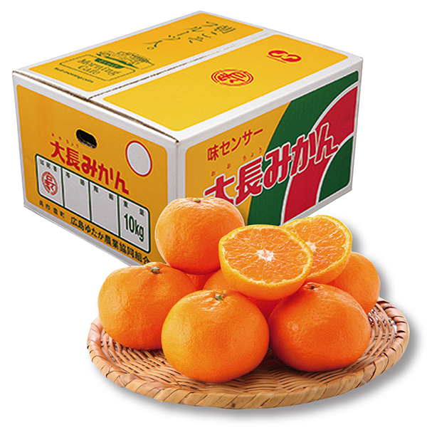 [広島県産]大長みかん Mサイズ  5kg以上【429311】【冬ギフト★】 商品サムネイル