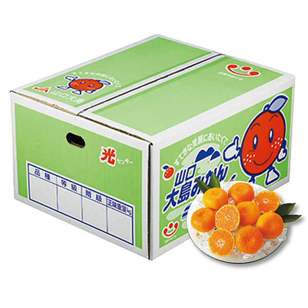 [山口県産]山口大島みかん M・Lサイズ 10kg以上【429393】【冬ギフト★】 商品サムネイル