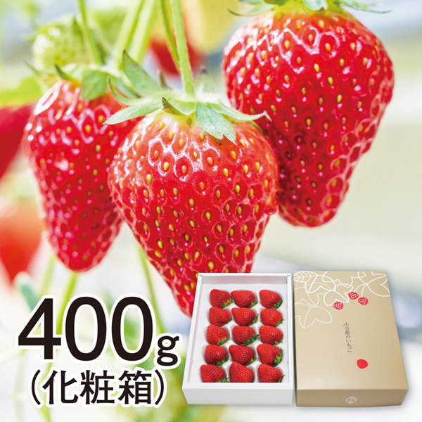 [香川県小豆島産]女峰いちご 400g化粧箱【425397】 商品サムネイル