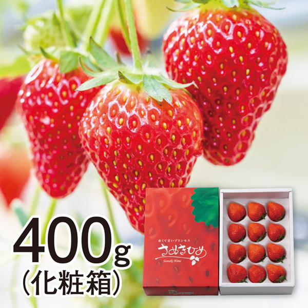 [香川県産]さぬきひめいちご 400g化粧箱【425403】