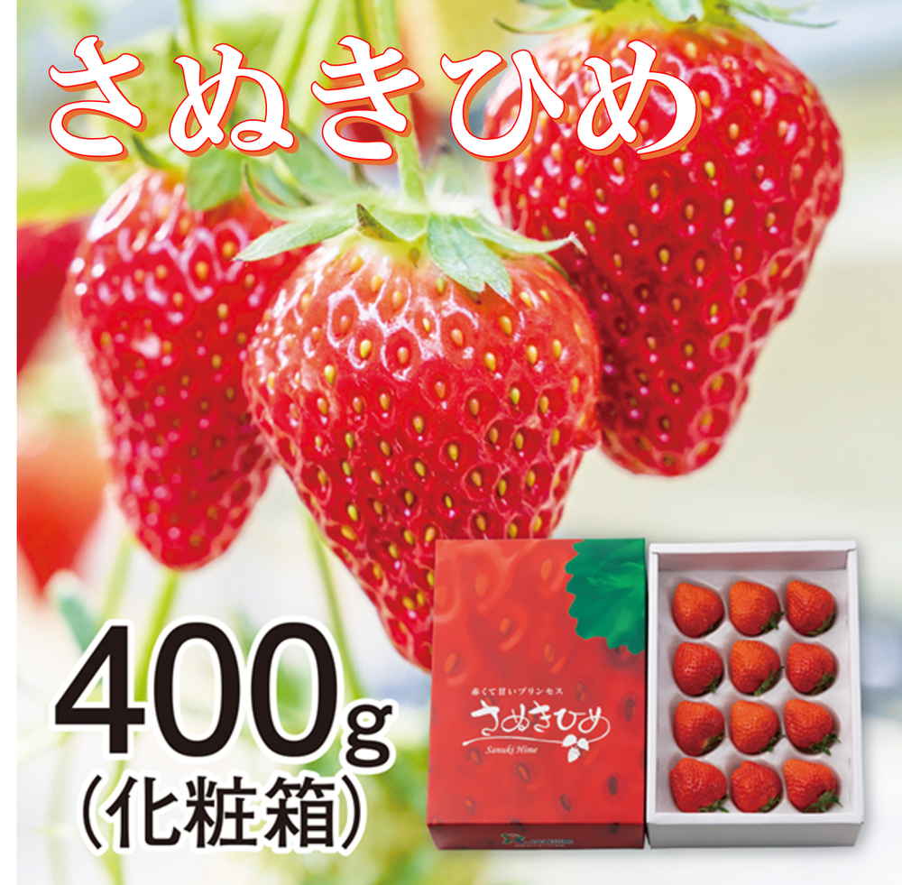 [香川県産]さぬきひめいちご 400g化粧箱【425403】