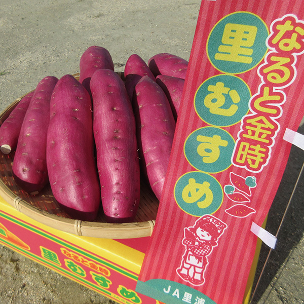 [徳島県JA里浦] 里むすめ 【426235】【夏ギフト★】 商品サムネイル