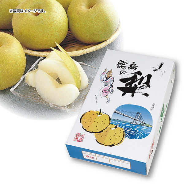 [徳島県産] 幸水梨 10～12玉(3.8kg以上) 【426208】【夏ギフト★】 商品サムネイル