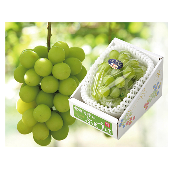 [岡山県産]シャインマスカット 晴王 1箱500g以上 2房【429746】【冬ギフト★】 商品サムネイル