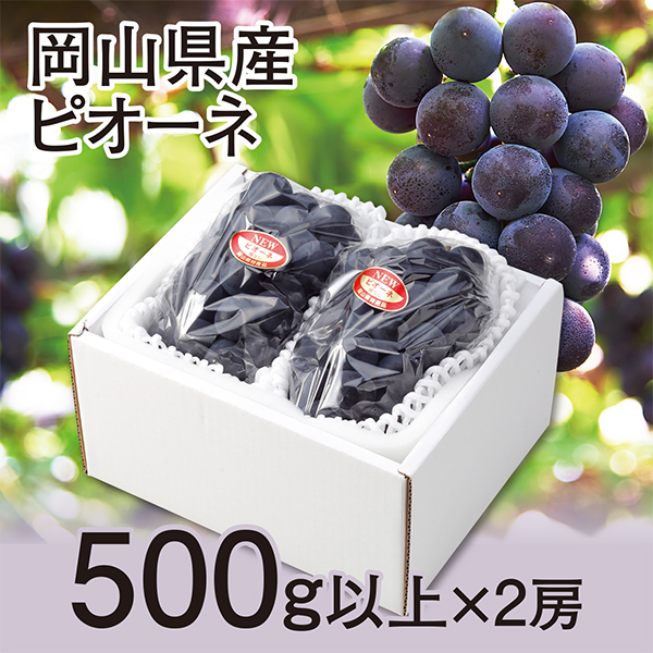 ［岡山県産］　ピオーネ　500ｇ以上×2房【417565】 商品サムネイル